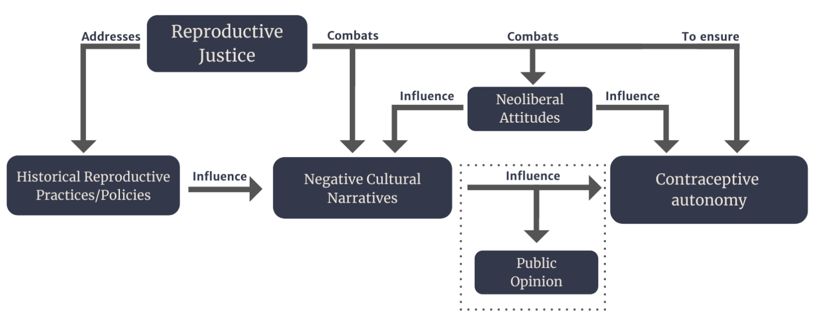 Reproductive Justice Framework Diagram